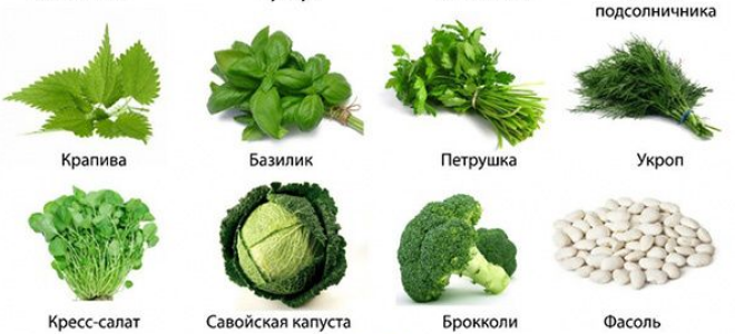 Упражнения при лордозе: комплексы и инструкции по выполнению