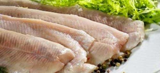 Нежирная рыба для диеты — список сортов