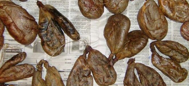 К чему разрушен прием бобровой струи женщинами