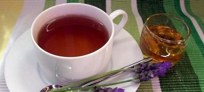 Менингококковая инфекция симптомы у взрослых