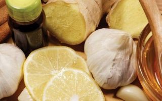 Имбирь, лимон и мед для сосудов — 4 рецепта для чистки артерий, как их приготовить и применить?