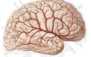 Глиза в головном мозге в белых веществах (единичные) на мрт: что это такое?