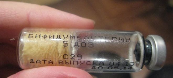 Бифидумбактерин для новорожденных в ампулах как давать