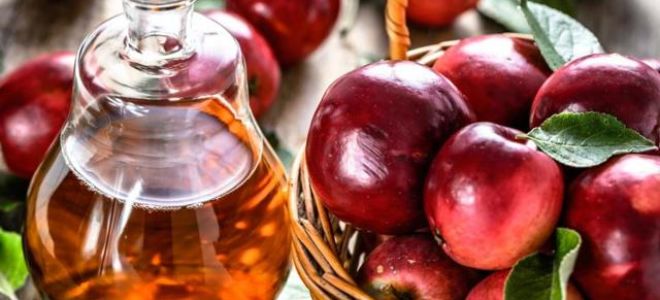 Какой врач лечит запоры у взрослых