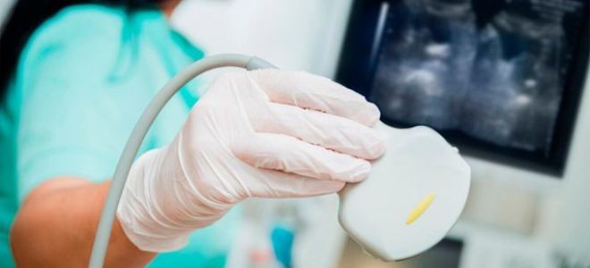 Повышение эхогенности поджелудочной железы