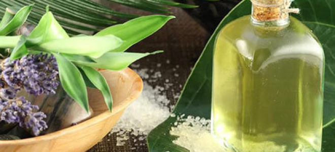 Чем лечить грибок на голове – симптомы и признаки заболевания, лучшие методы и препараты