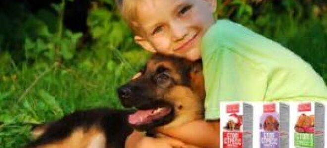 Стоп-стресс для кошек и собак — инструкция по применению