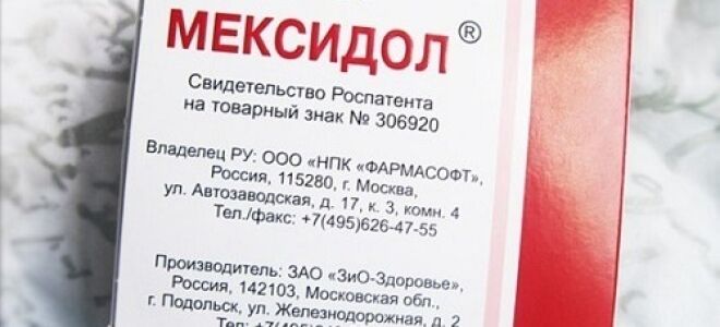 Кавинтон или мексидол: что лучше и в чем разница (отличия составов, отзывы врачей)