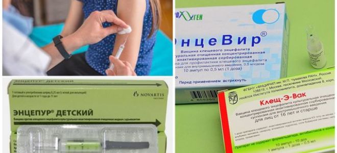 Последствия энцефалита у взрослых и детей
