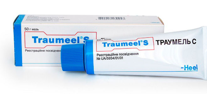 Антибиотики при переломах костей: когда и какие назначают