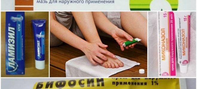 Какая противогрибковая мазь подойдет для кожи тела, ногтей, головы и ушей?