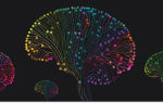 Отличие мозга головного мозга от мозга головного мозга
