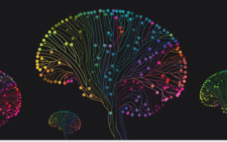 Отличие мозга головного мозга от мозга головного мозга