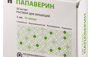Но-шпа: аналоги и заменители препарата в россии