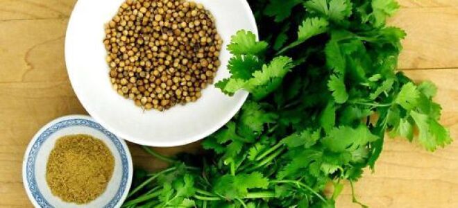 Дергается палец на руке: что делать, причины патологии