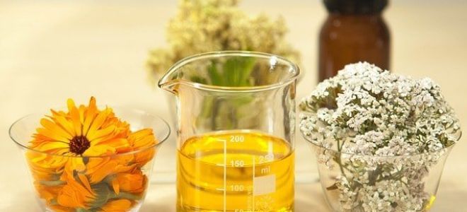 Лечение геморроя в домашних условиях быстро у взрослого