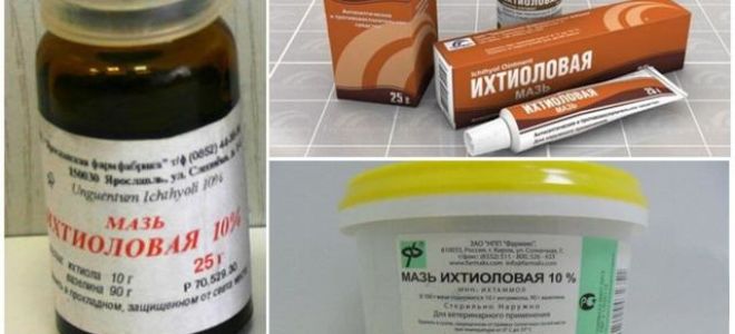 Мазь от грибка ногтей на ногах: какая самая хорошая и недорогая