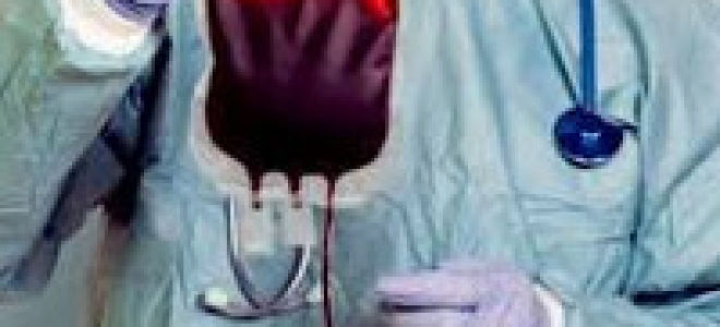 Осложнения при переливании крови: профилактика, гемотрансфузионный шок, профилактика