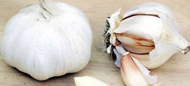 Лечение грибка ногтей народными средствами