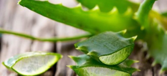 Раздражение после бритья – как убрать, как избавиться от раздражения на ногах, под мышками, в зоне бикини