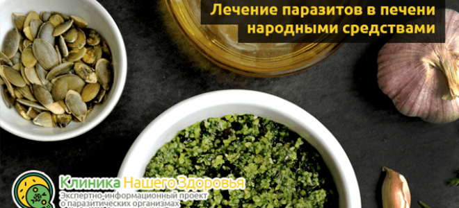 Паразиты в печени человека: симптомы и лечение, разновидности