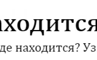 Поджелудочная железа — где находится и как болит орган человека