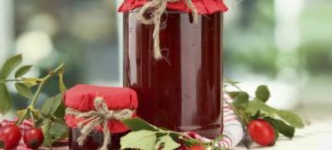 Лечение хеликобактер пилори без антибиотиков