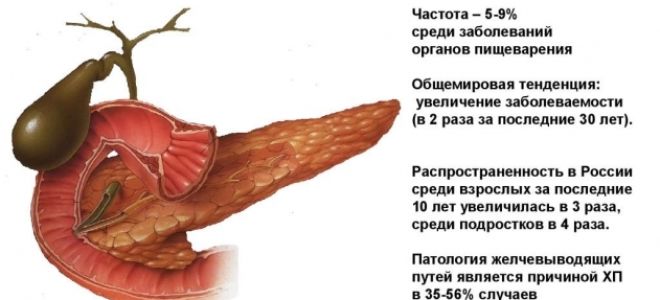 Какие соусы можно при панкреатите поджелудочной железы?