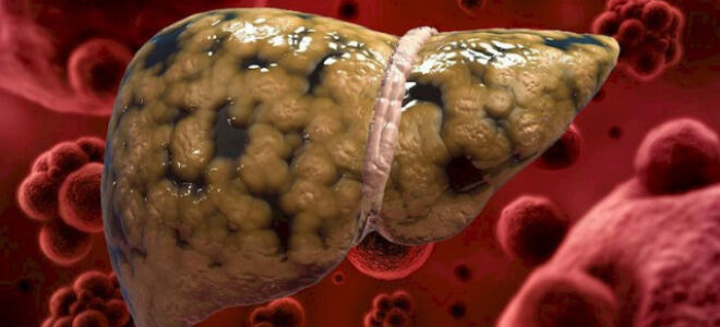 Какие продукты любит печень — узнаём что вредно и полезно