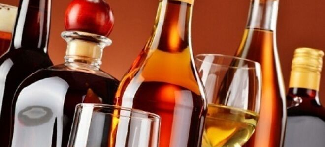 Можно ли есть кальмары при панкреатите