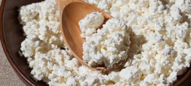 Творог при панкреатите и болезни поджелудочной железы