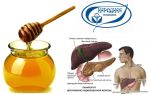 Мед при панкреатите: полезный или вредный продукт при патологии