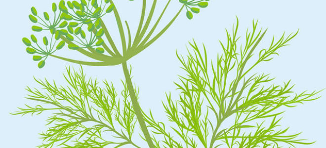 Запор у грудничка: причины, лечение, профилактика