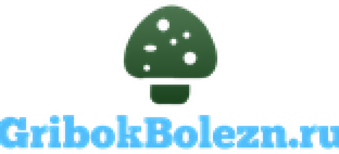 Дерматит в ушах: причины и лечение