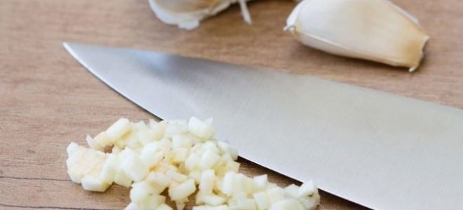 Чеснок от глистов у детей и взрослых: лечение, рецепты, профилактика