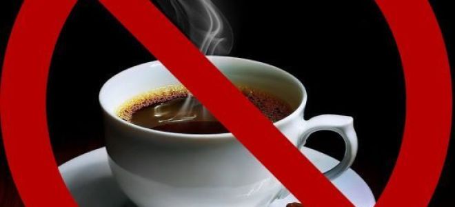 Влияние кофе на печень и желчный пузырь