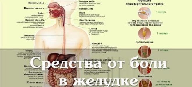 Лекарства от боли в желудке: таблетки, обезболивающие препараты и другие средства