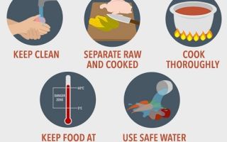 Пищевое отравление у взрослых: симптомы и лечение в домашних условиях