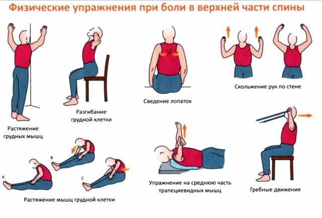 ЛФК при грудном остеохондрозе: видео-упражнения (с палкой), комплекс, гимнастика при обострении