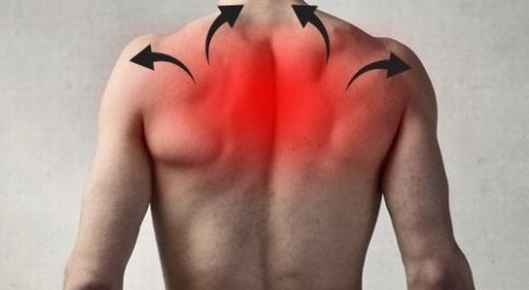 Болит спина в области лопаток: причины