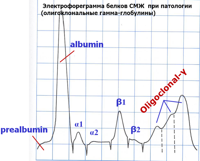 Спинномозговая жидкость и ее анализ, состав ликвора