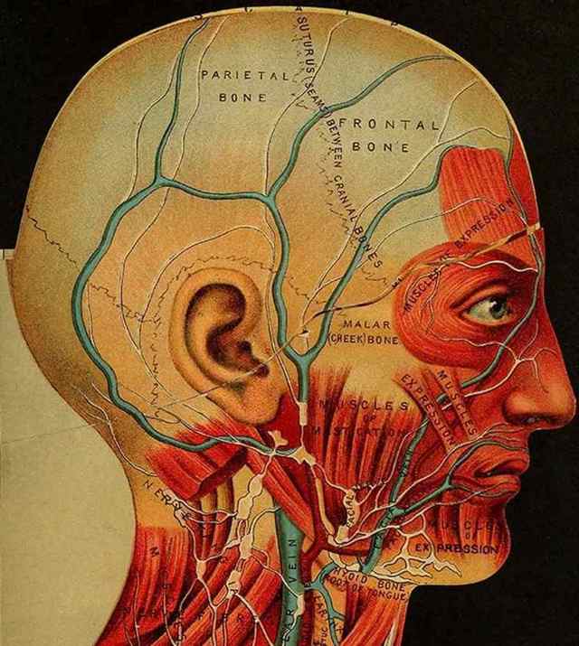 Психосоматика и головная боль: причины и лечение