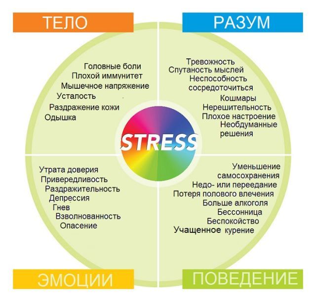 Симптомы и признаки стресса у женщин, мужчин и детей - как выявить хронический и острый