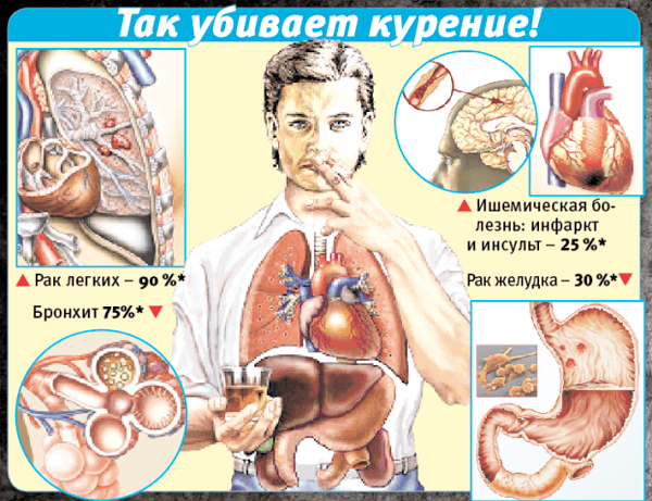 Влияние никотина на сосуды сердца, головного мога, ног