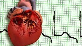 Внутренняя дрожь в теле и сердцебиение: причины и лечение