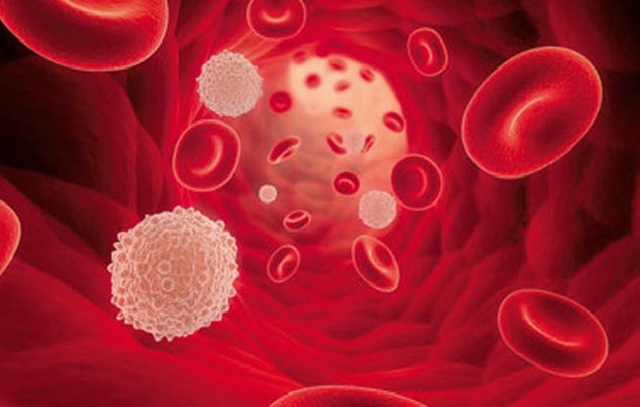 Норма тромбоцитов в крови у мужчин по возрасту, таблица