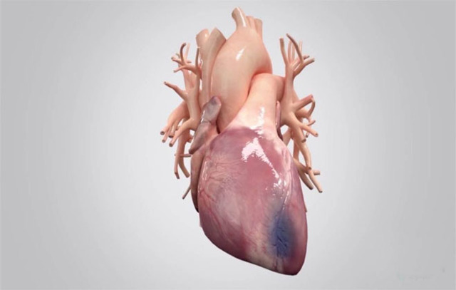 Продолжительность жизни после инфаркта миокарда