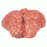 Говяжий мозг - химический состав, пищевая ценность, БЖУ