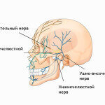 Неврит тройничного нерва: симптомы, причины, лечение