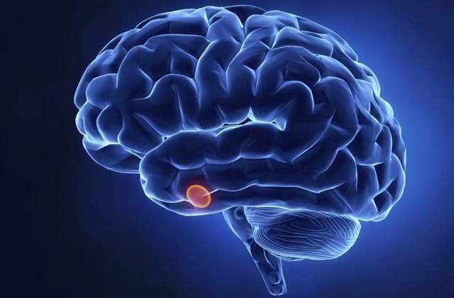 Гипофиз головного мозга отклонения - отклонения, их симптомы и методы лечения